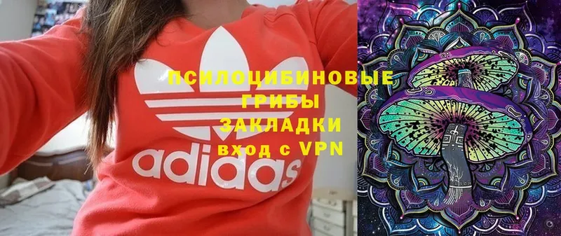 shop наркотические препараты  Куса  Галлюциногенные грибы мухоморы  где продают  